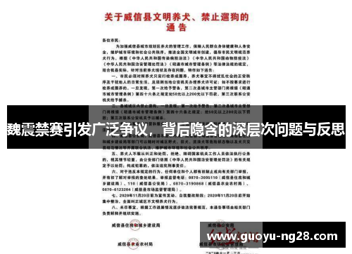 魏震禁赛引发广泛争议,背后隐含的深层次问题与反思 魏震禁赛引发广泛争议,背后隐含的深层次问题与反思