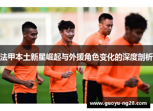 法甲本土新星崛起与外援角色变化的深度剖析