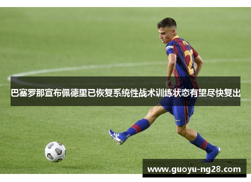 巴塞罗那宣布佩德里已恢复系统性战术训练状态有望尽快复出 巴塞罗那宣布佩德里已恢复系统性战术训练状态有望尽快复出